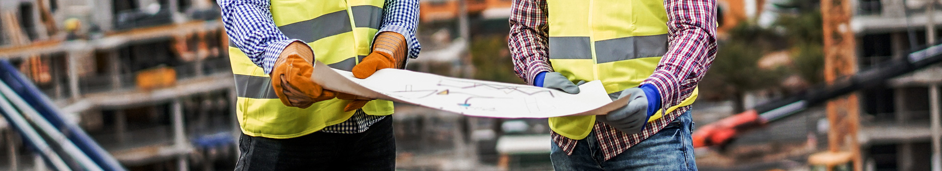 Site banner